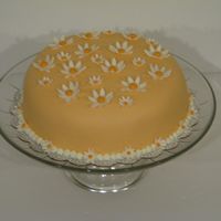 Cakes_019.jpg This is my first fondant-covered cake. I used MMF and It was very easy to work with! Thanks for all of the great tips here on CC!