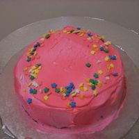 Smash Cake Chocolate cake with raspberry whipped cream. Spray on pink color