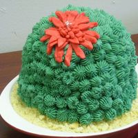 Cactus Cake I copied Collete Peters cake but got too tired before I put on all those needles.Chocolate cake leftovers from the pig cake, chocolate...