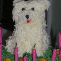 Westie Birthday Cake 2008 Base cake strawberry, dog is amaretto pound cake, buttercream icing and fondant accents. VERY VERY hot day -- dog was about to start...