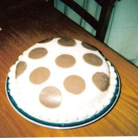 First Cake Ever! covered with wilton rolled fondant