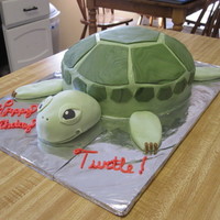 Turtle Cake made this for special request. birthday girl's nickname is "turtle". head, arms, legs all made from fondant. body is cake...