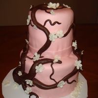 Hong's Bd May2007 Chocolate Kahlua cake w/ bavarian cream filling, iced in buttercream dream and covered in MMF. w/ mmf accents. I still can not for the life...