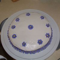 Dscf0039.jpg Very first cake