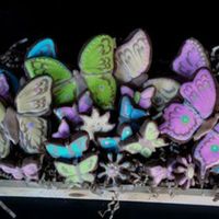 Butterfly Cookies These are some cookies I made for a friend with a son in the hospital. I thought it would brighten her day:) I used Chocolate butter...
