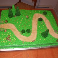 Cross Country Course I made this for my daughters cross country championship race. Full sheet cake. Cake is WASC cake with buttercream grass, gumpaste rocks,...