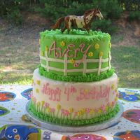 Pony Party Bday Cake This is done in all buttercream (except the horse which was provided by the customer). I had to stick the horses legs far into the cake as...