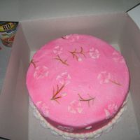 Pink W/white Flowers Yellow butter cake, bc icing, airbrushed pink. I got this idea from someone here. I forgot who it was. This was for a auction and a last...