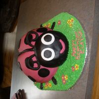 Ladybug My daughters 4th birthday. Made with 2 1/2 12" rounds. Head is 1 - 8" cake carved. Thanks to all CC members for your helpful pics...