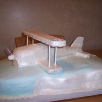 Bi Plane Wedding Cake Bi Plane wedding cake, wings and structure is foamcore covered in fondant, plane body is cake covered in fondant with airbrushed pearl,...
