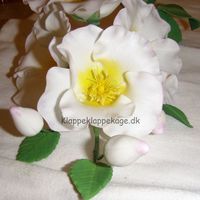 First Spray gave it to my grandmother