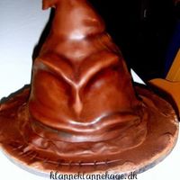Sorting Hat For my Harry Potter crazed sons 6th birthday