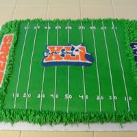 Final Superbowl Cake This one was a little easier then my practice cake, guess I learned from my mistakes the first time. Logo's are FBCT, cake is devils...