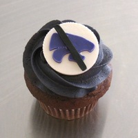 Beat The Wildcats! 1st use of my Cricut Cake!