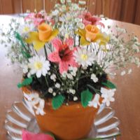 Flower Pot Ma de this cake for my neice's 19th birthday.Pot is chocolate fudge cake with nuttela filling.All flowers fondant, except a baby...