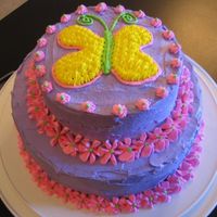 Butterfly Cake I actually got the butterfly idea from someone on this website. She did such a good job! My little girl likes butterflies and wanted to try...