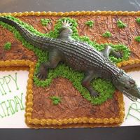 Alligator Cake The alligator is just a toy that I bought and laid it on the top. I wanted the icing to resemble mud. So I just mixed several colors and...