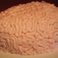 Brain Cake Cake made for my daughters class after they spent most of the year studying the brain.