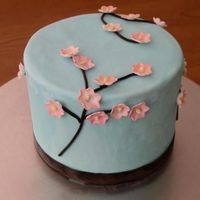 Cherry Blossom This is a 6 inch cake inspired by a cake from jacquespastries.com The fondant looks a little mottled because there is frost on it. (I froze...