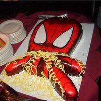 Spidey Spiderman shooting his web.My sons 28th birthday cake.