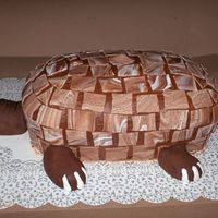 Mr. Turtle Birthday girl is called "Turtl" so made a yellow cake w/ chocolate icing. Shell is made from chocolate and white Satin Ice...
