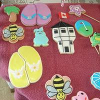 Custom Cookies - Summer Theme 