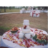 Outside_Wedding.jpg I believe I am getting better.