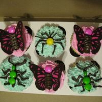 Butterfly And Bug Cupcakes These were for a play group. WASC cupcakes with buttercream icing and chocolate transfer butterflies and bugs (thanks ncbert for the...