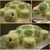 Turtle Cake 