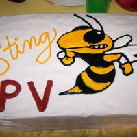 Yellow Jacket Sting Little league football championship party. Yellow Jackets sting Pinson Valley. For a bonfire the night before the big game.