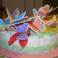 Butterflies Go Wild I went a little over board on the Royal icing butterflies! You couldn't even read the birthday girl's name on the cake. But she...