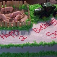 Pig Farmer's Cake Cake is chocolate cake w/reg. bc. Fence is popsicle sticks w/chocolate icing for the mud, pigs bought from hardware store along with the...