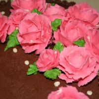 Basic: Chocolate & Pink (Detail) 