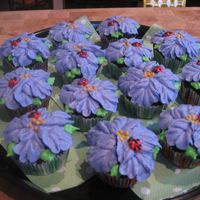 Purple Hibiscus Cupcakes Buttercream with little ladybugs