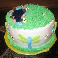 Dragonfly Cake fondant dragonflies, ready-made royal icing bees.