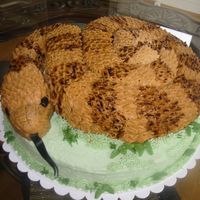 Snake Cake Snake coiled on grass. Snake is carved from 12-inch layer and iced with buttercream. Design on scales is painted from food coloring mixed...