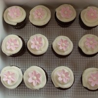 Mini Pink And White Cupcakes 