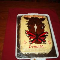 Breanna's Birthday chocolate sheet cake. horse is made from homemade royal icing and homemade colorflow.