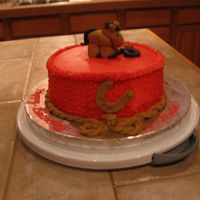 My First Fondant Horse Here is a birthday cake I did for a little girl's 8th birthday. This is my first attempt at a fondant horse.