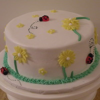 Ladybugs And Flowers Got this idea from a cake I saw here on CC