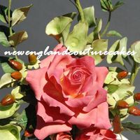 Bells Of Ireland Gumpaste Flower Topper This is the closeup of the gum paste flower topper on the Bells of Ireland Cake I just posted. thanks for letting me share