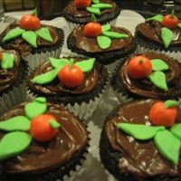 Chocolate Orange Cupcakes Cchocolate cupcakes with orange chocolate frosting. Fondant (orange cream flavor) oranges and leaves.