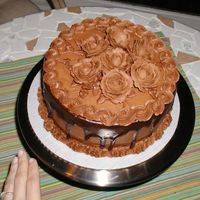 Chocolate Roses 