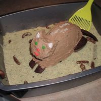 Kitty Litter Cake W/cat My son and I made this for a Cub Scout cake auction that got snowed out, so it ended up as a Bday cake for my Bro-in-law. We made another...