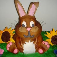 Bunny I made this cake for my sister's preschool class. The bottom of the bunny was made in a bowl using confetti cake with vanilla frosting...