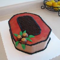 Buckeyes This was a grooms cake for the rehearsal dinner. The cake was peanut butter with chocolate filling and icing. Buckeyes are candy and the...