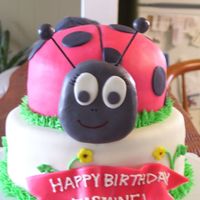Jazzy's 30Th Birthday Cake My girlfriend is in love with ladybugs, so I decided to surprise her with this cake. The cake is a chocolate dh cake with a strawberry/...