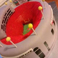 Nebraska Stadium Cake this is my 3rd Husker stadium cake - serious Nebrasks fans here! 2 oval red velvet cakes, carved out the middle, covered in mmf, red...