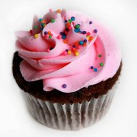 Pink Party Cupcake 