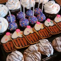 My Treat Tray cupcakes, cookies, cake pops, and cream puffs on a tray!